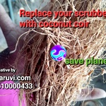 Coconut Coir for Dish Wash