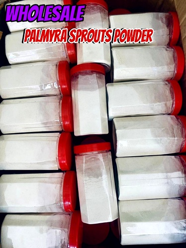 Palmyra Sprouts Powder Wholesale