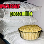 Proso Millet Wholesale