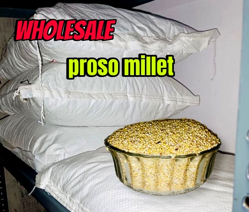 Proso Millet Wholesale