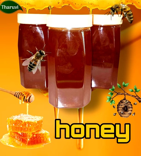 High Pollen Wild Honey, Kombu Thean | Natural Unprocessed