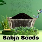 Basil Seeds / Tukmaria Seeds / Sabja Seeds | Seeds for Eating