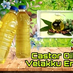 Castor Oil , Vilakkennai