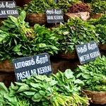 Keerai (கீரைகள்)