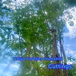 Country (Native) Variety Drumstick Cuttings, Moringa | Murungai Nadu