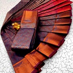 Elite Bridal silk Sarees