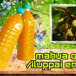 Iluppai Oil| Mahua Oil