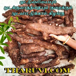 MUDAVATTUKKAL KILANGU