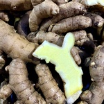 Fresh Organic Mango Ginger (Maa Inji / Aam Haldi) | Buy Online