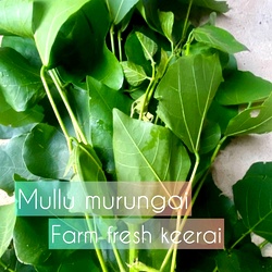 Kalyana Murungai Keerai,Mullu Murungai leaves Keerai