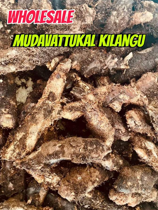 Mudavattukal Kilangu Wholesale