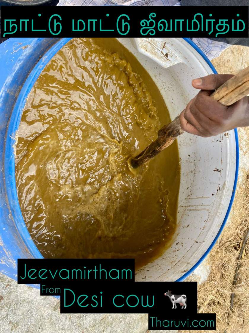 Desi Cow Jeevarmirtham