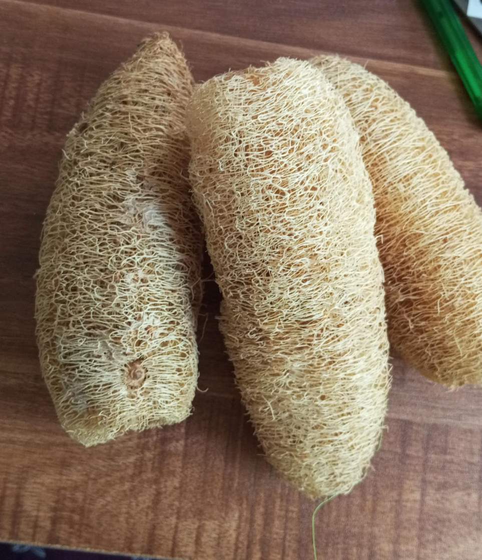 Natural Loofah Body Scrubber