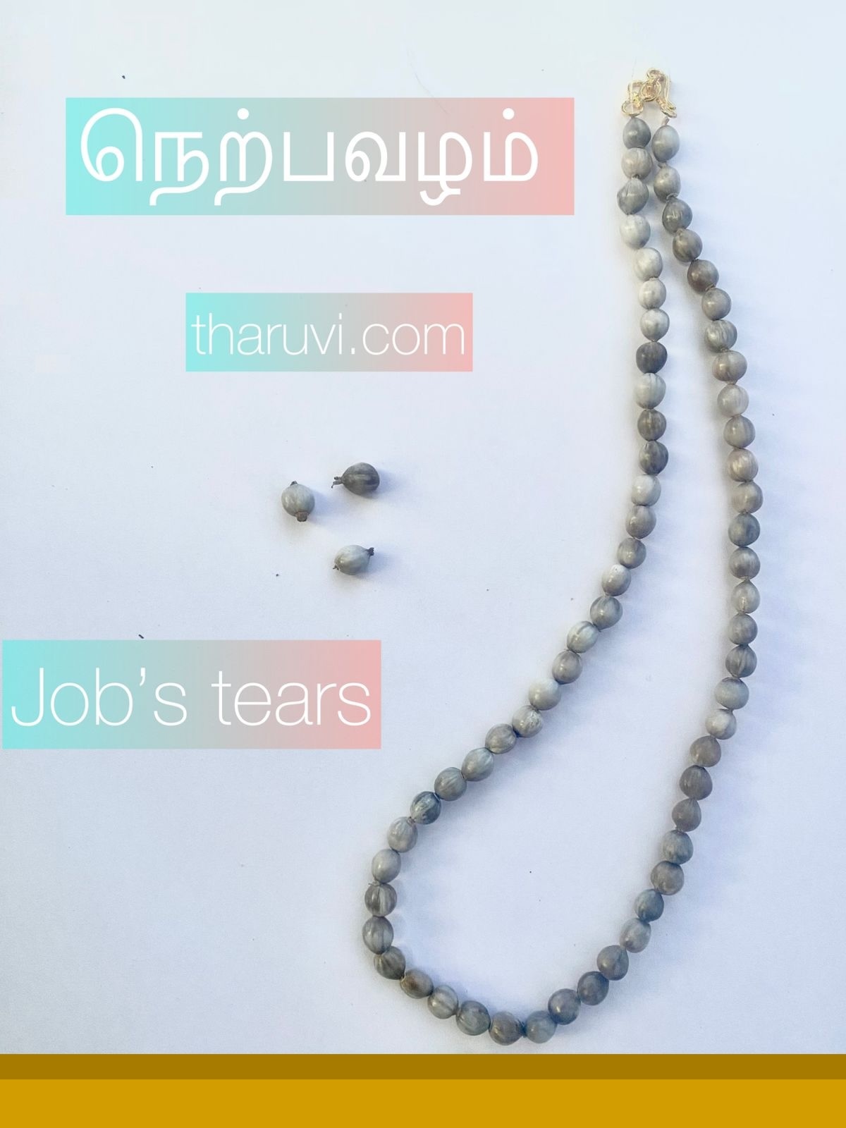 Nerpavalam Maalai, Jobs tears, adlay grains, Vaijeyanthi Seed Beads