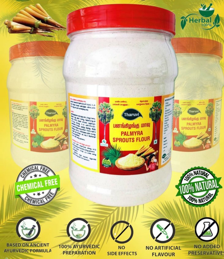 Palmyra Sprouts Powder| Panangilangu Maavu Organic | Thati Tegalu | Tender Palm Shoots