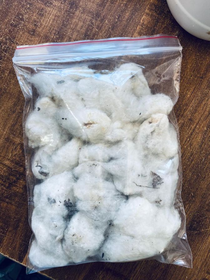 Desi Maraparuthi Cotton | Traditional Herbal Cotton for Wellness , Rituals