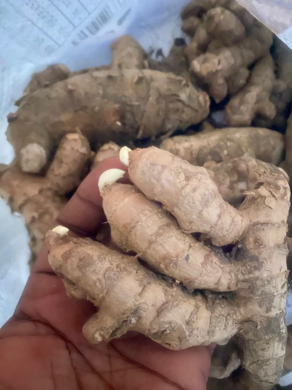 Maa Inji, Mango Ginger, Aam Haldi