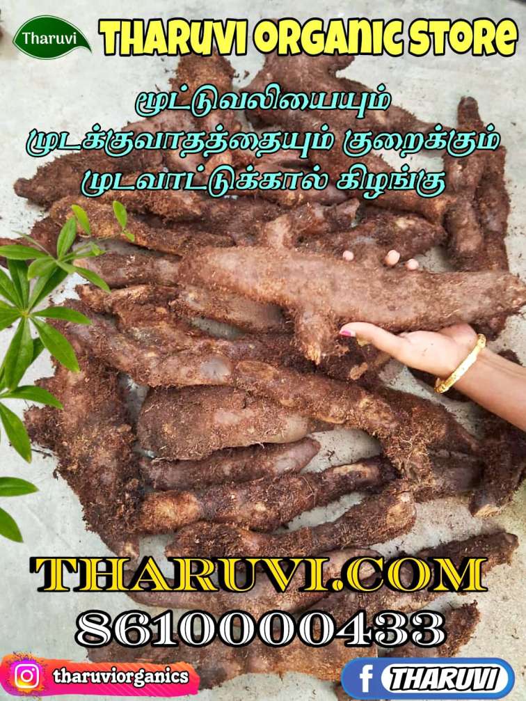 MUDAVATTUKKAL KILANGU