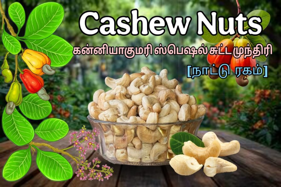 Kanyakumari Special Cashew Nuts, Sutta Munthiri, (Desi) Country Variety