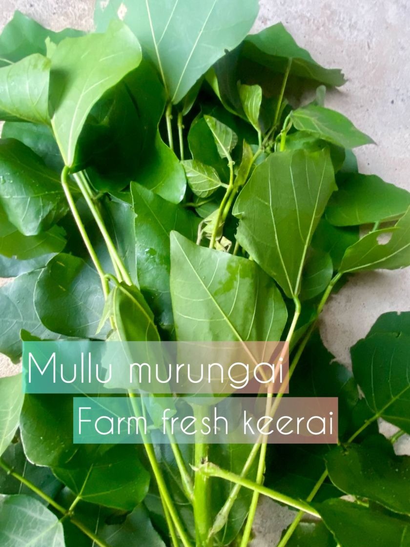 Kalyana Murungai Keerai,Mullu Murungai leaves Keerai